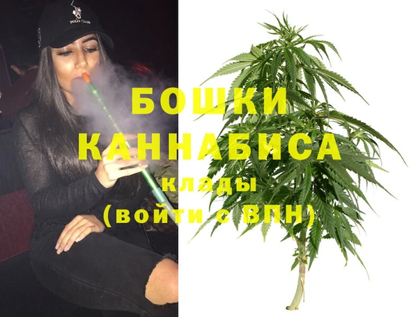 тгк Арсеньев